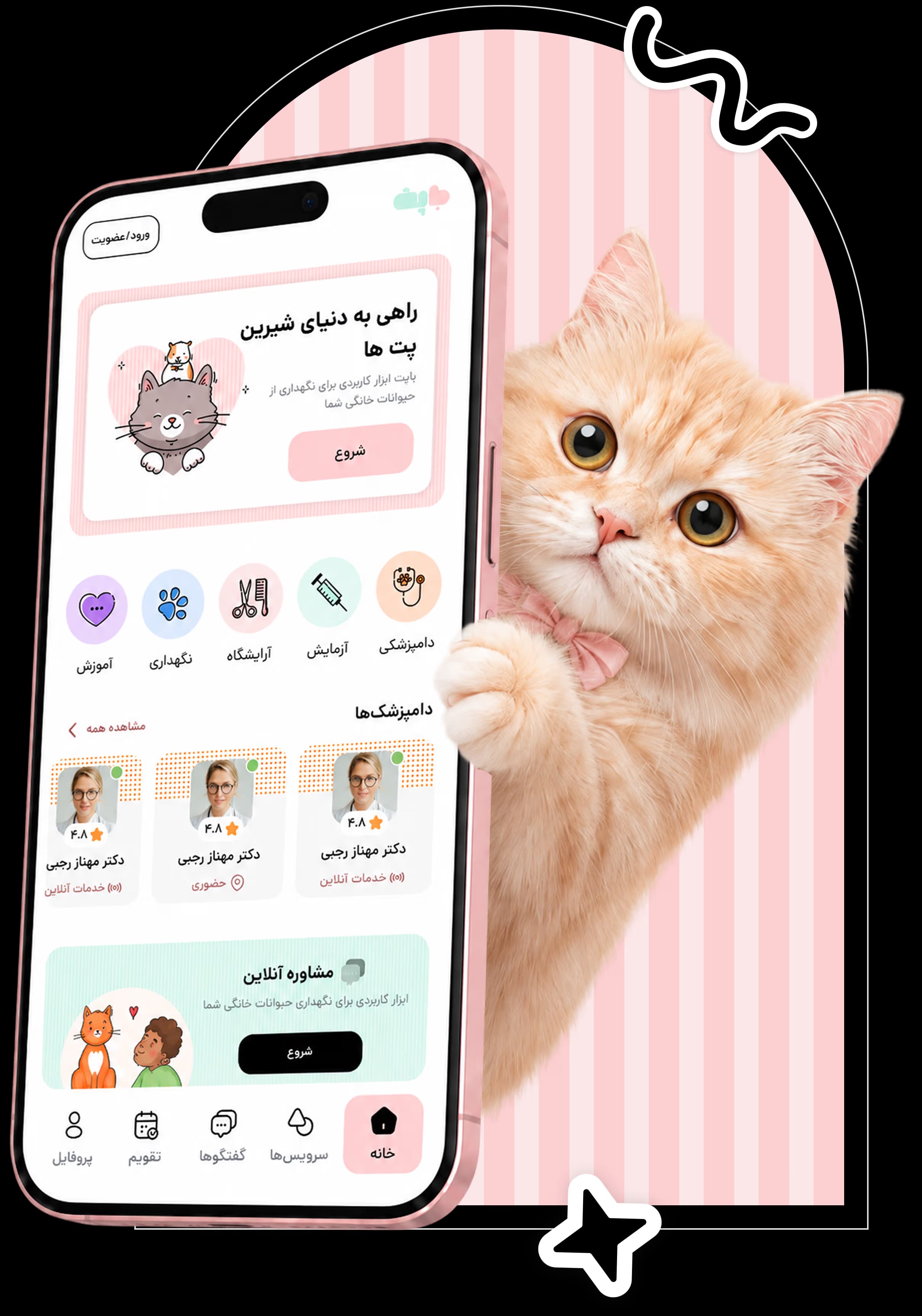 cute-cat-holding-phone-promoting-bapet-application