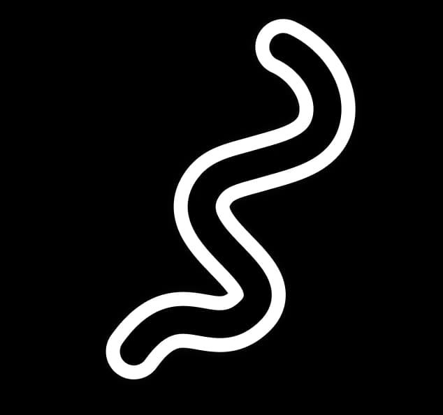 باپت - سرویس مشاوره